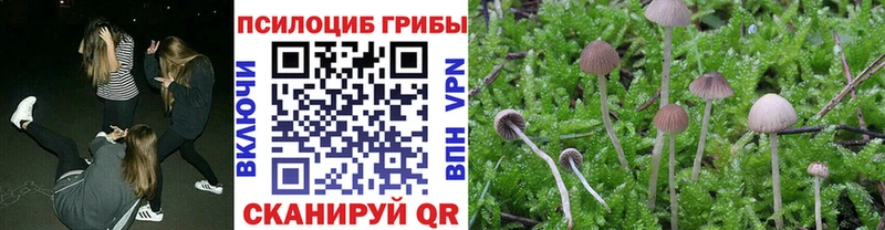 Псилоцибиновые грибы прущие грибы  Ейск 